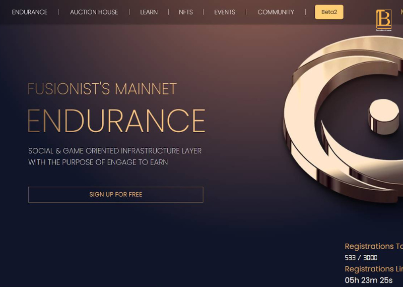 Endurance_Huongdancrypto.com