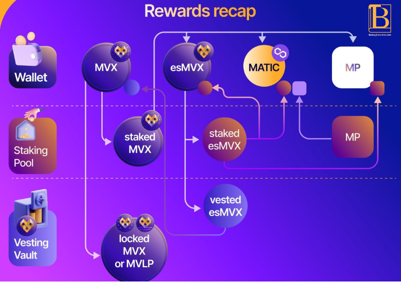 Lộ trình Dự án Metavault. Huongdancrypto.com